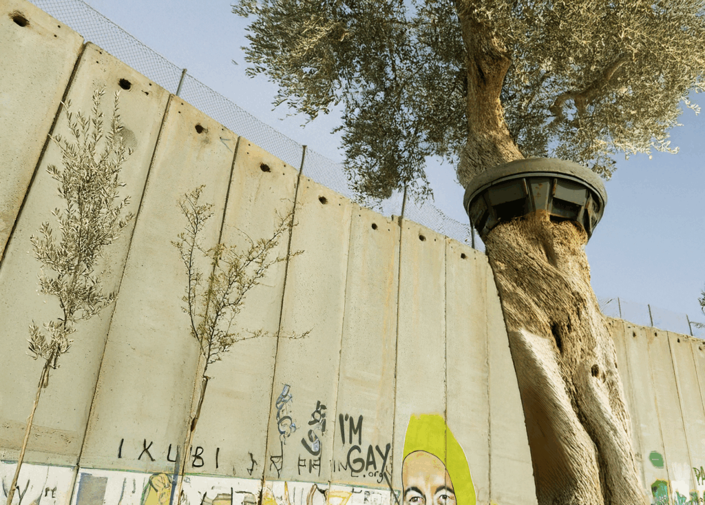 Peace tree Bethlehem Separation Wall